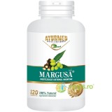Margusa 120tb