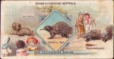 HST A878 Reclamă veche pe carton la ciocolată
