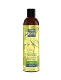 Cumpara ieftin Sampon cu extract de Mesteacan 300ml