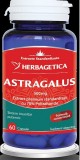 ASTRAGALUS 500MG 60CPS, Herbagetica