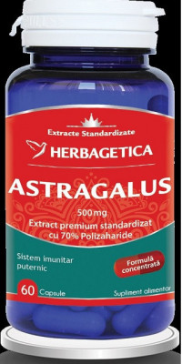 ASTRAGALUS 500MG 60CPS foto