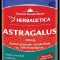 ASTRAGALUS 500MG 60CPS