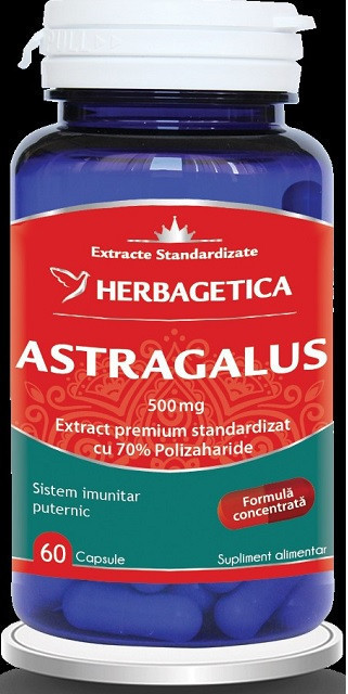 ASTRAGALUS 500MG 60CPS