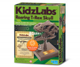 Jucarie Craniu de T-Rex cu sunete KidzLabs, 4M