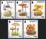Jersey 1994 - Ciuperci, serie neuzata