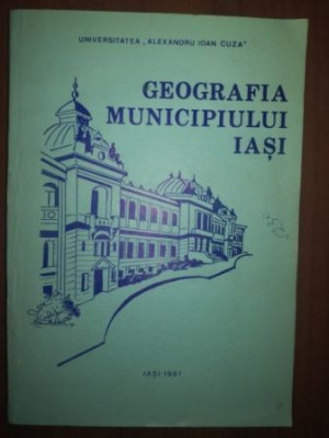 Geografia municipiului Iasi foto