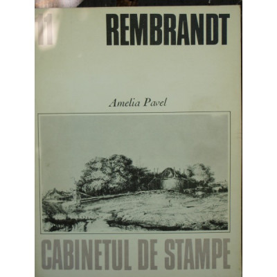 REMBRANDT - AMELIA PAVEL foto