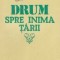 Drum spre inima tarii
