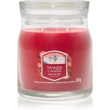 Yankee Candle Santa On Skis lum&acirc;nare parfumată Signature 368 g