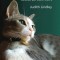 On Older Cats
