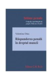 Răspunderea penală &icirc;n dreptul muncii - Paperback brosat - Valentina Dinu - C.H. Beck