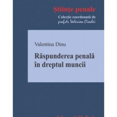 Răspunderea penală în dreptul muncii - Paperback brosat - Valentina Dinu - C.H. Beck