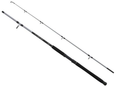 Lanseta Mitchell Tanager SW Boat Rod H, 100-200g, 2.40m, 2seg foto