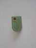 QW9 J 77 - Insigna - tematica pionieri - Pionier tehnician - locul II, Romania de la 1950