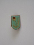 QW9 J 77 - Insigna - tematica pionieri - Pionier tehnician - locul II, Romania de la 1950