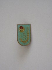 QW9 J 77 - Insigna - tematica pionieri - Pionier tehnician - locul II