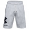 Pantaloni scurti Under Armour Rival Fleece Big Logo Shorts 1357118-011 gri