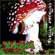 INCUBUS Fungus Among Us (cd) foto