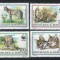 Burundi 1992 Mi 1758/61 MNH - WWF: Serval