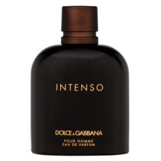 Dolce &amp;amp;amp; Gabbana Pour Homme Intenso Eau de Parfum pentru barbati 200 ml foto