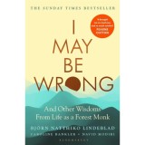 I May be Wrong - Bj&ouml;rn Natthiko Lindeblad