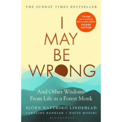 I May be Wrong - Bj&amp;ouml;rn Natthiko Lindeblad foto