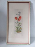 Tablou cu flori de camp - maci si albastrele, original, semnat (Calcu), rama lemn si sticla, 37x20x1.3cm