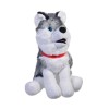 Caine husky de plus,30cm