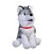 Caine husky de plus,30cm