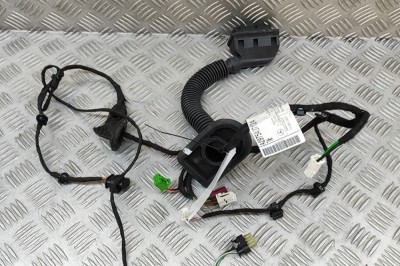 Cablaj ușă st&amp;acirc;nga spate MERCEDES-BENZ EQS V297 2022 OEM: A2975407124 30045353 foto