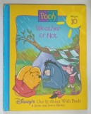 POOH , WEATHER OR NOT , VOLUME 10 , 1996