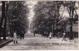 Braila. Oameni pe Alee (necirculata)