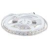 Ledstrf5050RGB+alb rece 5ml 300led IP20