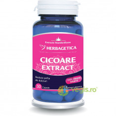 Cicoare Extract 30cps