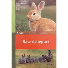 Rase de iepuri Atlas