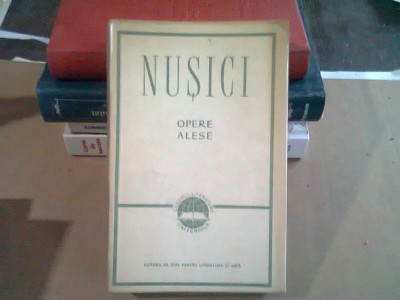 NUSICI - OPERE ALESE foto