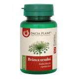 Branca Ursului, 60 comprimate, Dacia Plant