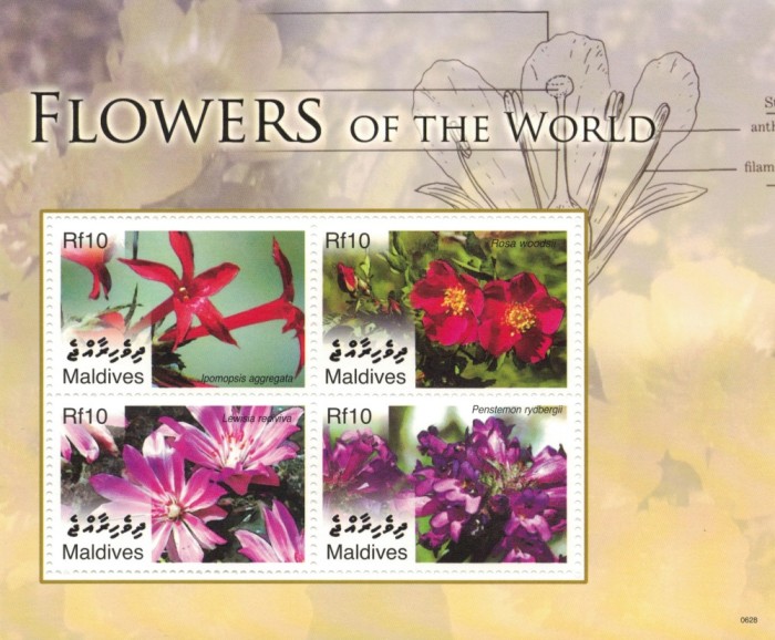 MALDIVE 2007 - Flori / colita MNH