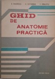 Ghid de anatomie practica - N. Diaconescu