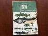 Pestele oceanic specii caracteristici retete dr mircea alboiu editura ceres 1992, Alta editura