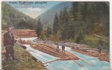 bnk cp Frasin - Rugaciunea plutasilor - uzata 1930