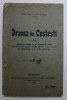 DRAMA DIN COSTESTI - PLEDOARIE ROSTITA LA 18 SEPTEMBRIE 1904 , INAINTEA CURTII CU JURATI de ION TH. FLORESCU , 1904
