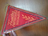 FANION FRUNTAS IN INTRECEREA SOCIALISTA