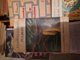 Pulbere vintage