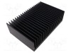 Radiator Extrudat SEIFERT ELECTRONIC, 200x300mm, Aripioare Negre - Disipare Eficienta Caldura