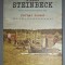 JOHN STEINBECK&nbsp;-&nbsp;JURNAL RUSESC
