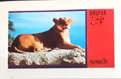 DHUFAR animale salbatice,puma, fauna colita nedant. Mnh foto