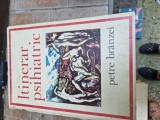 Itinerar psihiatric vintage