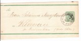 Germany 1888 Postal History Rare Old newspaper wrapper Wiedenau D.372