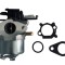 Carburator Briggs&amp;Stratton seria 700, 750 DOV